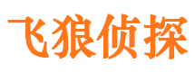 额敏侦探调查公司